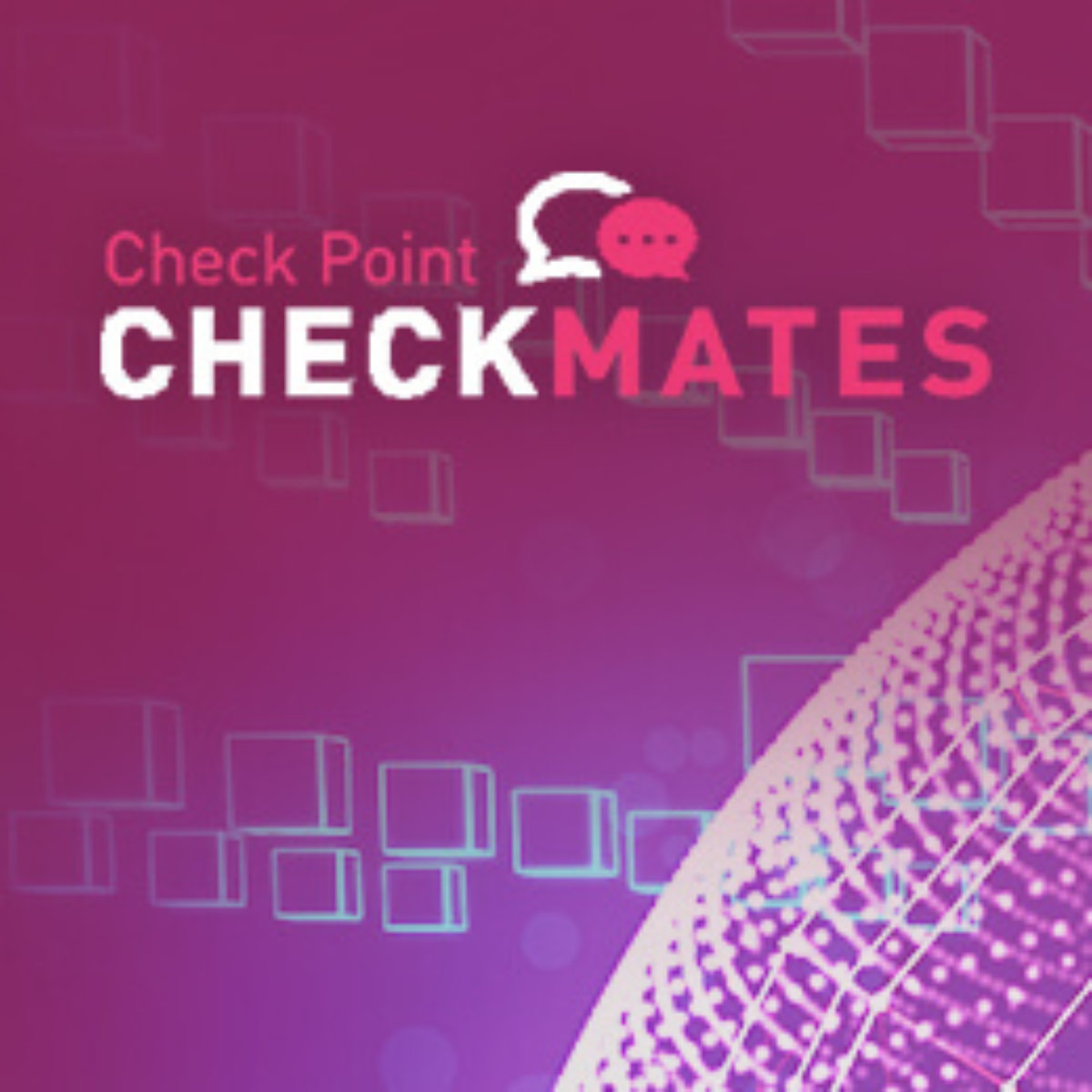 CheckMate in NYC! - Check Point CheckMates