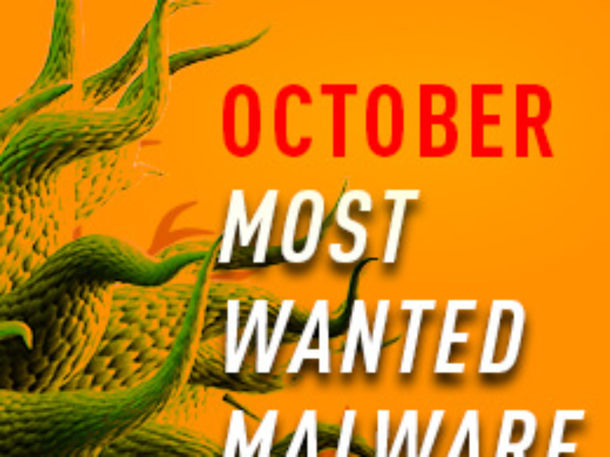 Crypto-Miner Named the Most Wanted Malware for December 2017