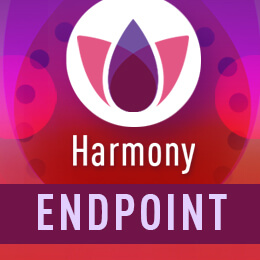 Online Course: Proteção do Endpoint (Português), Securing the Endpoint ( Portuguese) from  Web Services