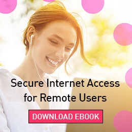 Secure Intrnet access for remote users