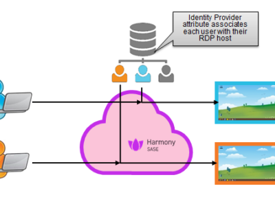 Dynamic RDP