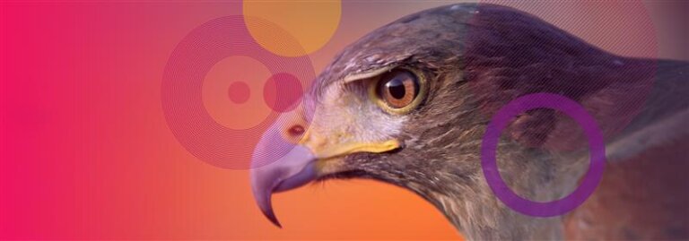 Inside Stealth Falcon’s Espionage Campaign Using a Microsoft Zero-Day ...