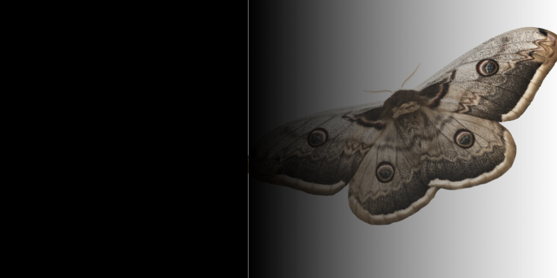 How Luna Moth Runs Data Extortion Like a Business